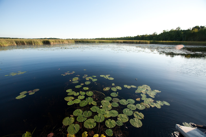 Pigeon Lake in Peterborough
